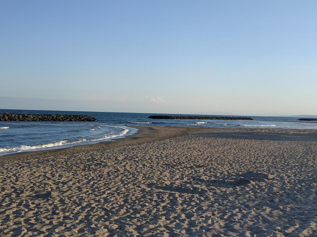 Appartement, Vue Sur Mer, Acces Direct Plage, Piscine 维亚斯 外观 照片