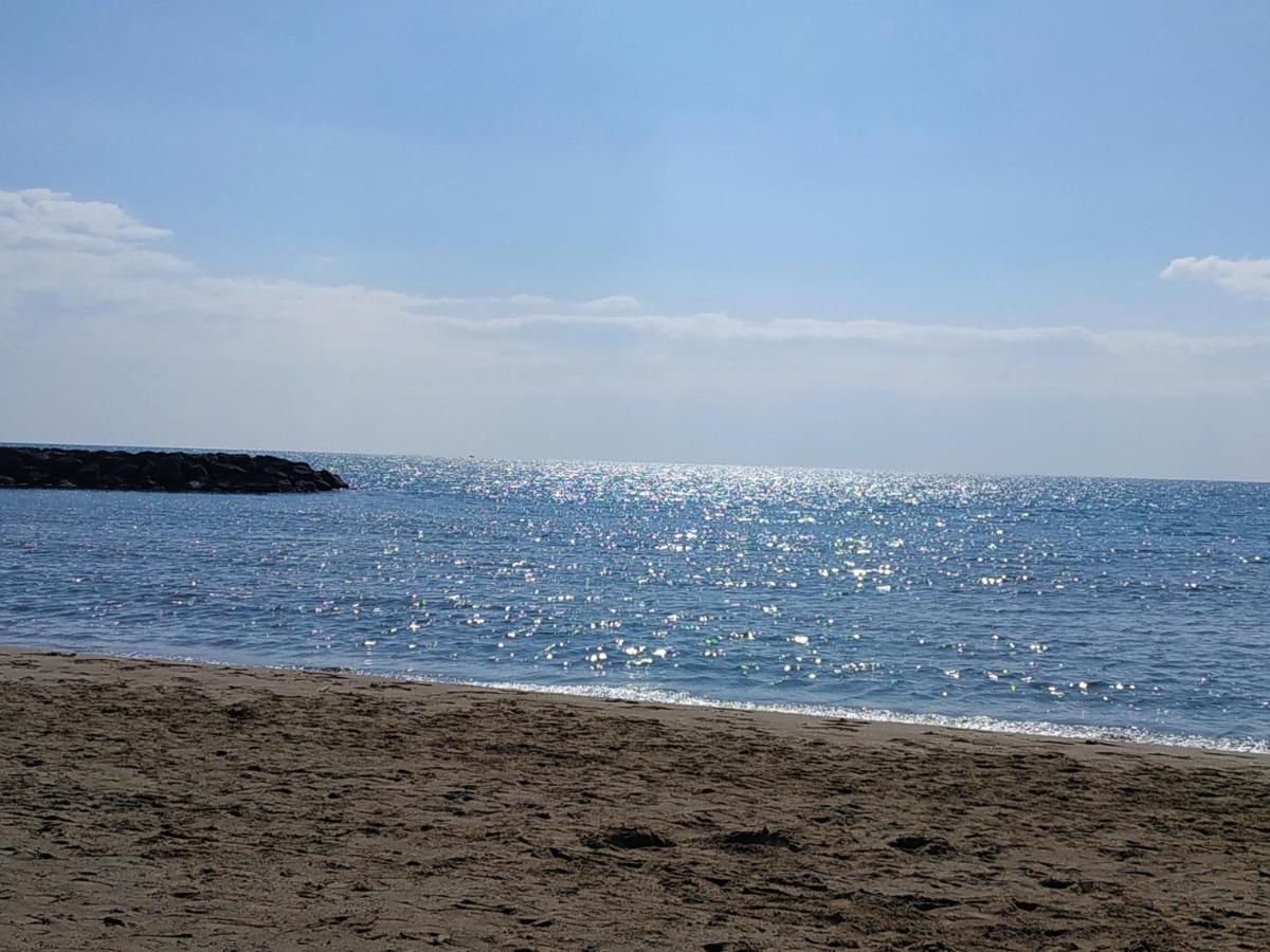 Appartement, Vue Sur Mer, Acces Direct Plage, Piscine 维亚斯 外观 照片